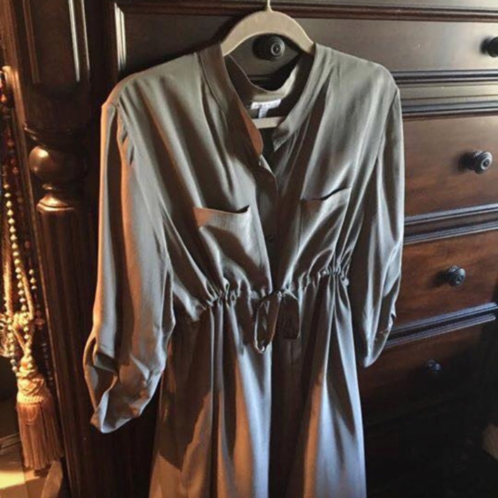 Silk Pea in the Pod maternity shirt dress